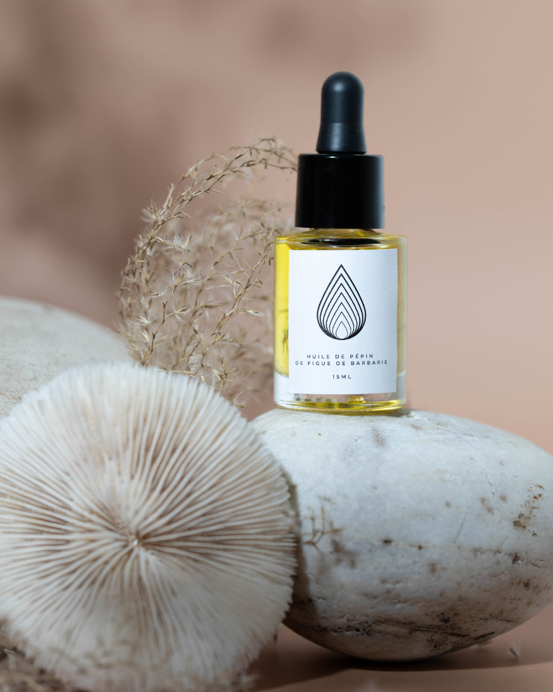 Amina | L'huile de pépins de figue de barbarie